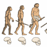What Is The History Of Evolution? Origins & Key Milestones Explained