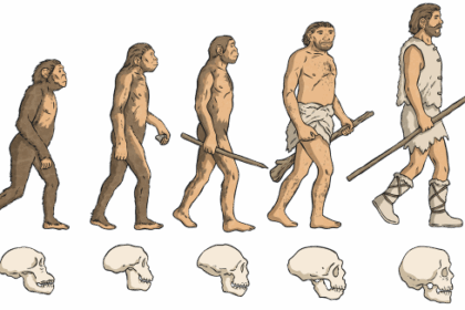What Is The History Of Evolution? Origins & Key Milestones Explained