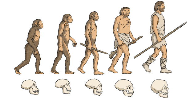 What Is The History Of Evolution? Origins & Key Milestones Explained
