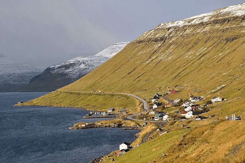 Overview