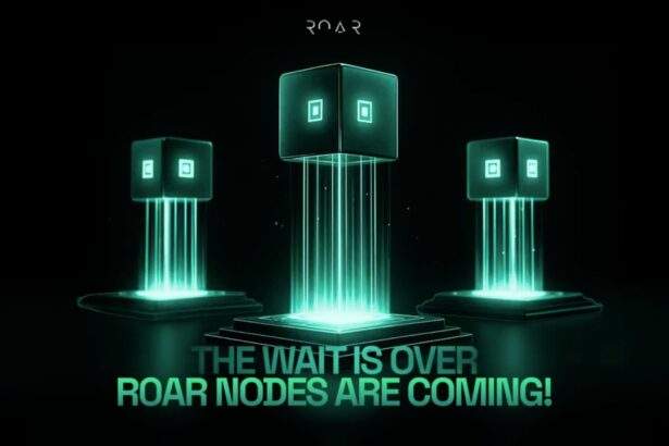 R0AR Announces Node Sale: Democratizing Layer 2 Infrastructure