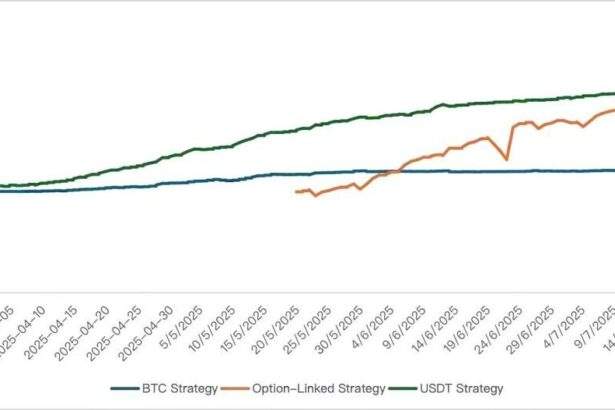 Bybit Private Wealth Management's Standout USDT Yield Strategy