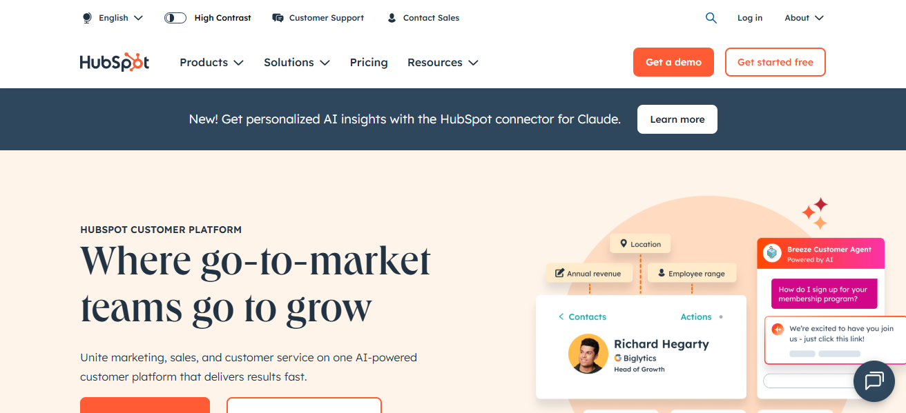 HubSpot AI