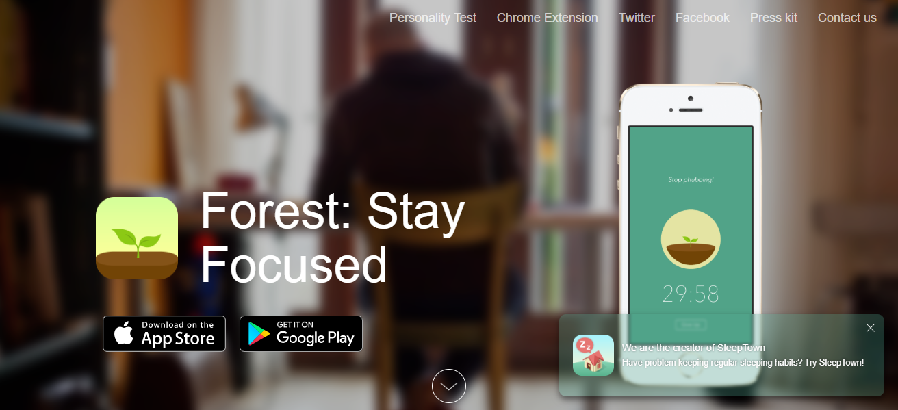 Forest