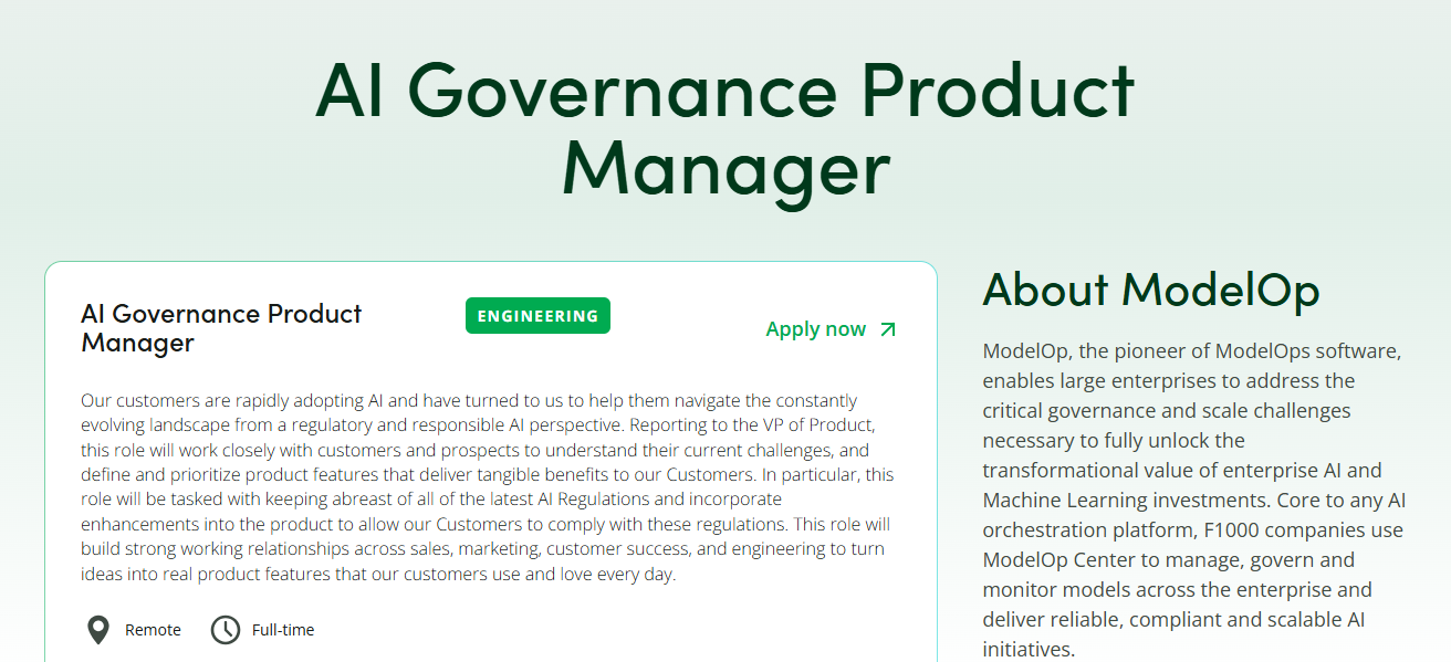 Governance Product Manager