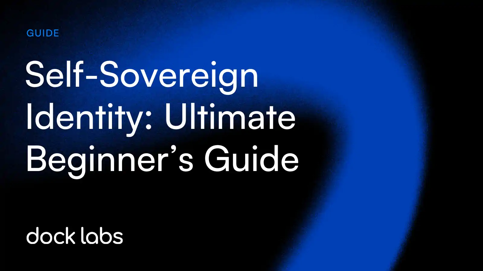 Self-Sovereign Identity (SSI) Developer