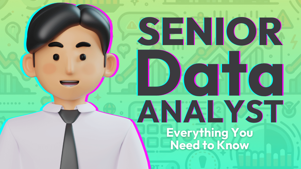 Senior Data Analyst