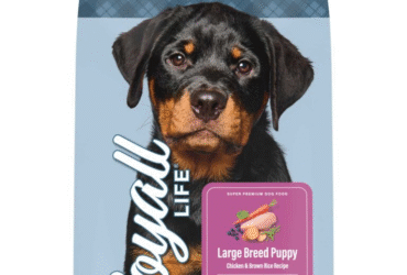10 Best Large Breed Dog Food Reviews – Top Nutrition for Big Dogs