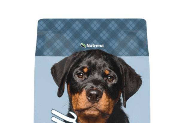 10 Best Large Breed Dog Food Reviews – Top Nutrition for Big Dogs