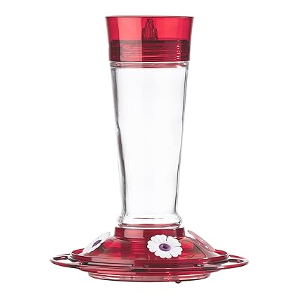 More Birds Glass Feeder
