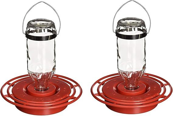 10 Best Hummingbird Feeder – Top Picks For Attracting Hummingbirds