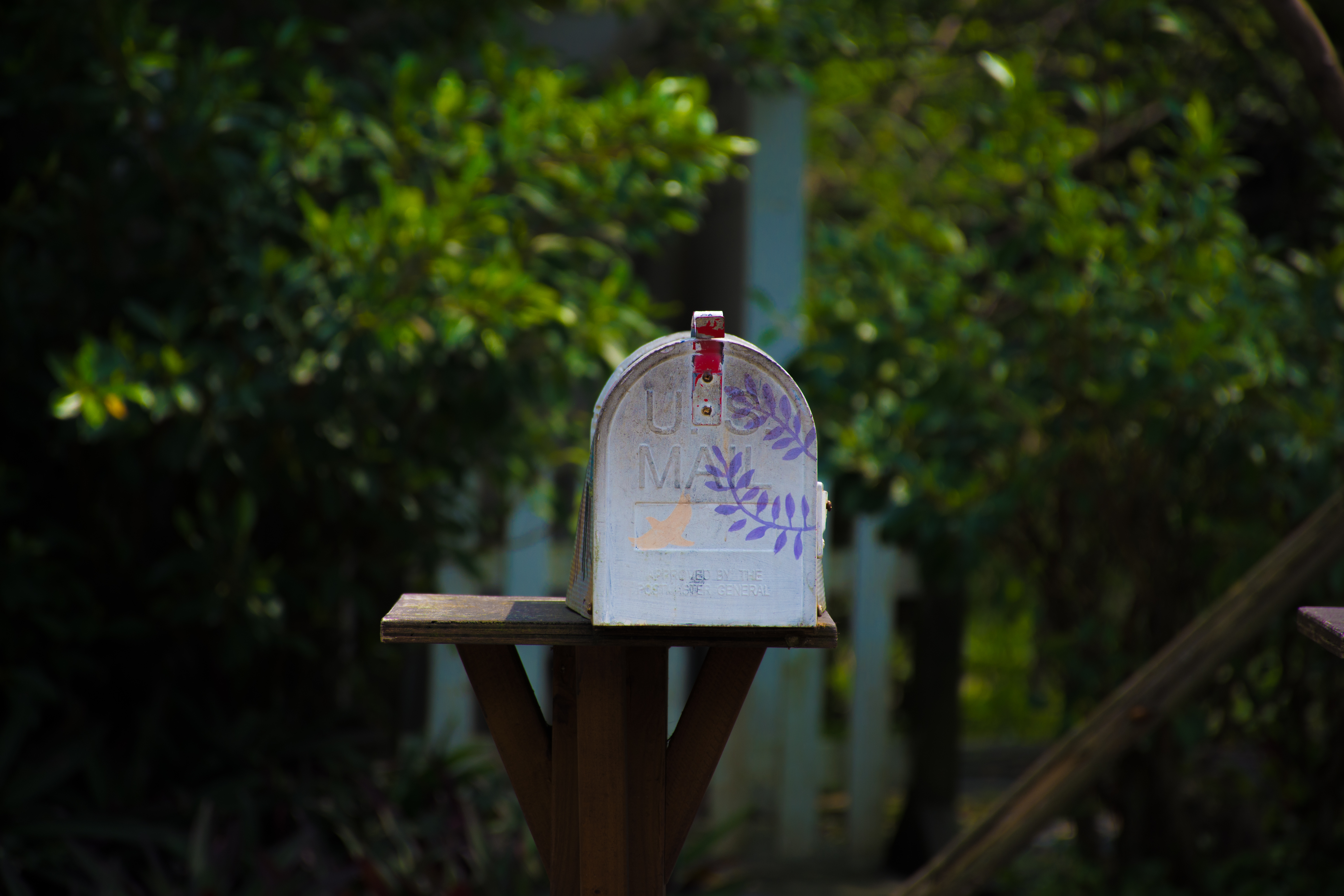 Mail-in Renewal