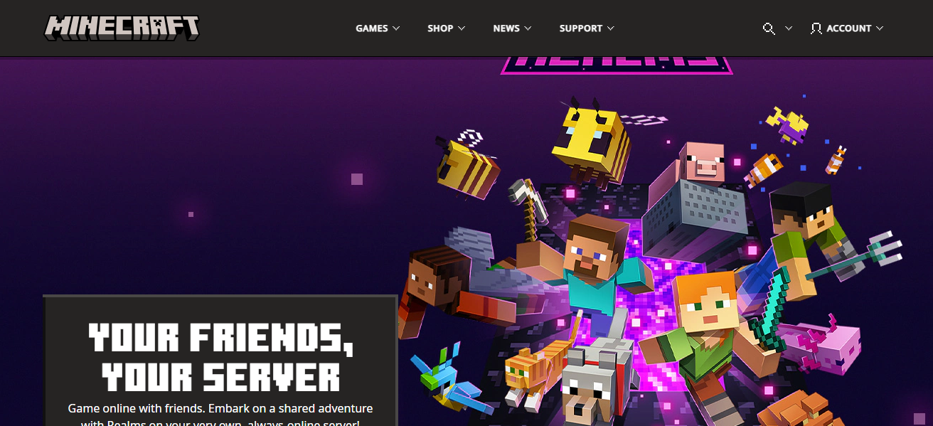 Minecraft (Realms/Servers)