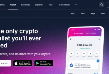 How To Withdraw Wallet Blockchain To Card – Step-by-Step Guide