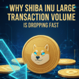 Why Shiba Inu Large Transaction Volume Is Dropping Fast
