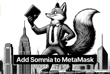 How To Add Somnia To MetaMask Wallet Easily