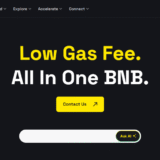 How to Add Custom BNB Chain Tokens To Trust Wallet