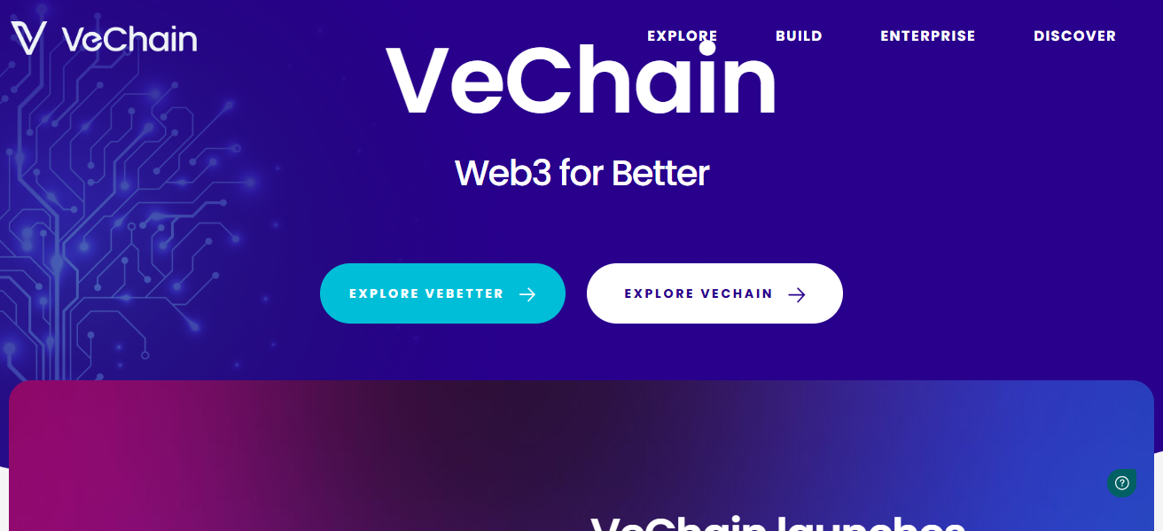 VeChain