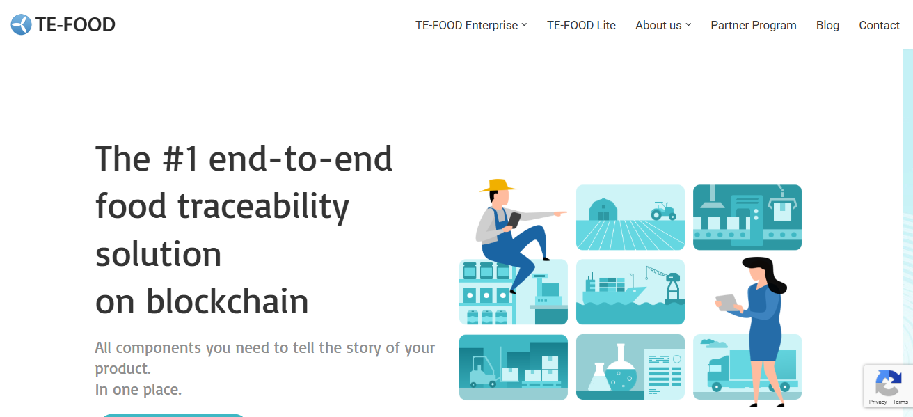 TE-FOOD