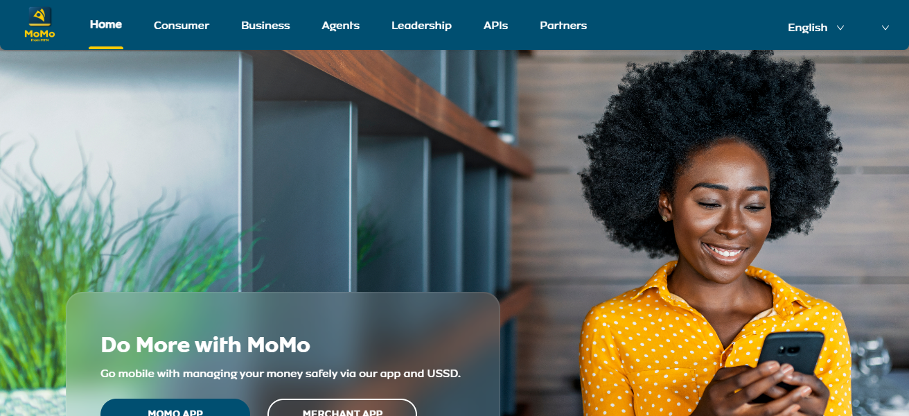 Mobile Money Platforms (M-Pesa, MTN MoMo)