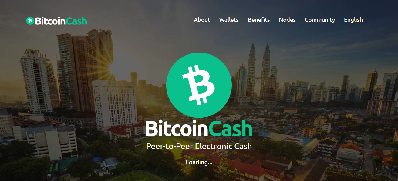 Bitcoin Cash (BCH)