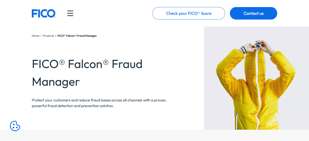 FICO Falcon Platform