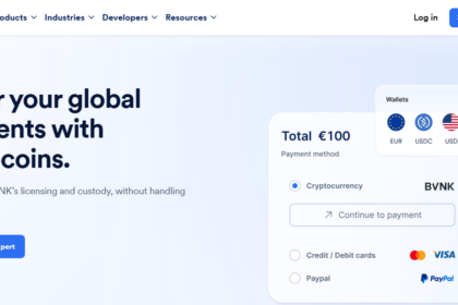 10 Best BVNK Payment Alternatives