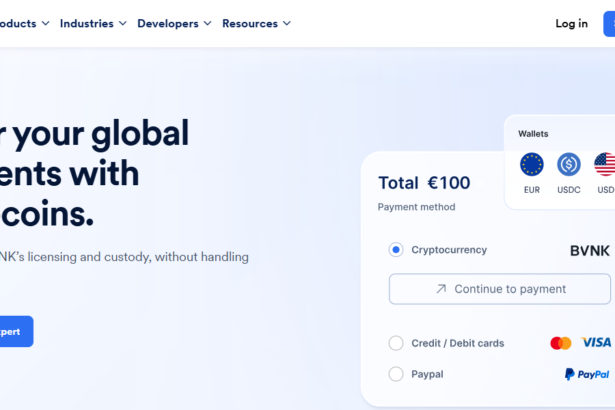 10 Best BVNK Payment Alternatives