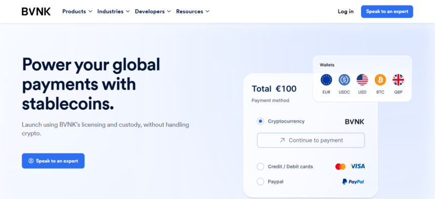 10 Best BVNK Payment Alternatives