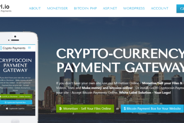 9 Best GoURL Alternatives 2026 - Easy & Secure Crypto Payments