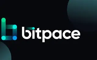 10 Best Bitpace Alternatives: Top Crypto Payment Solutions 2026