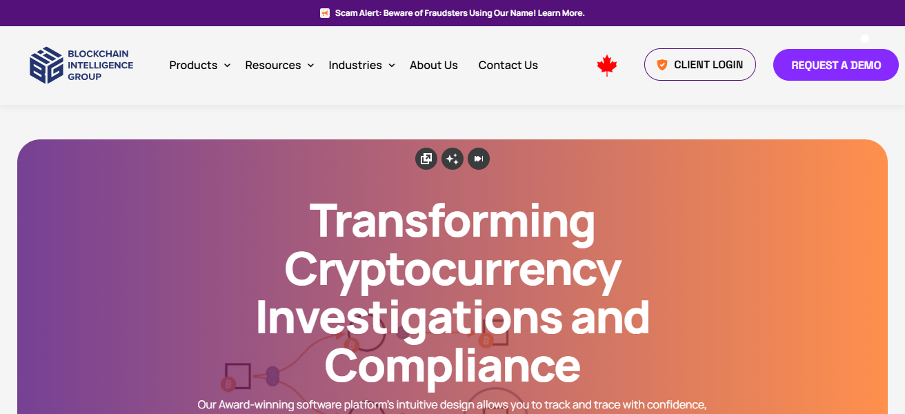 Blockchain Intelligence Group (QLUE)