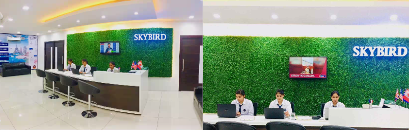 Skybird International