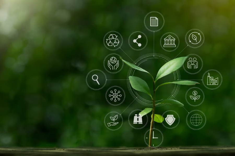 Sustainable & ESG investments