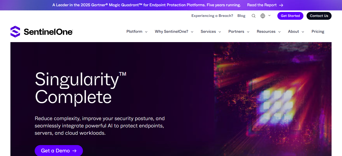 SentinelOne Singularity