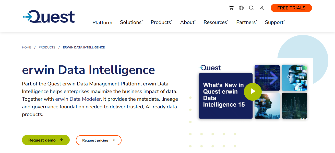 erwin Data Intelligence