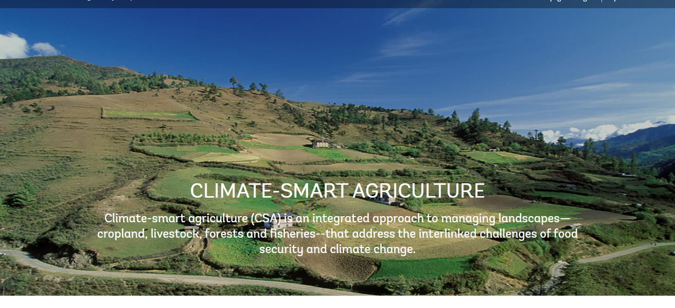 Climate-Smart Agriculture
