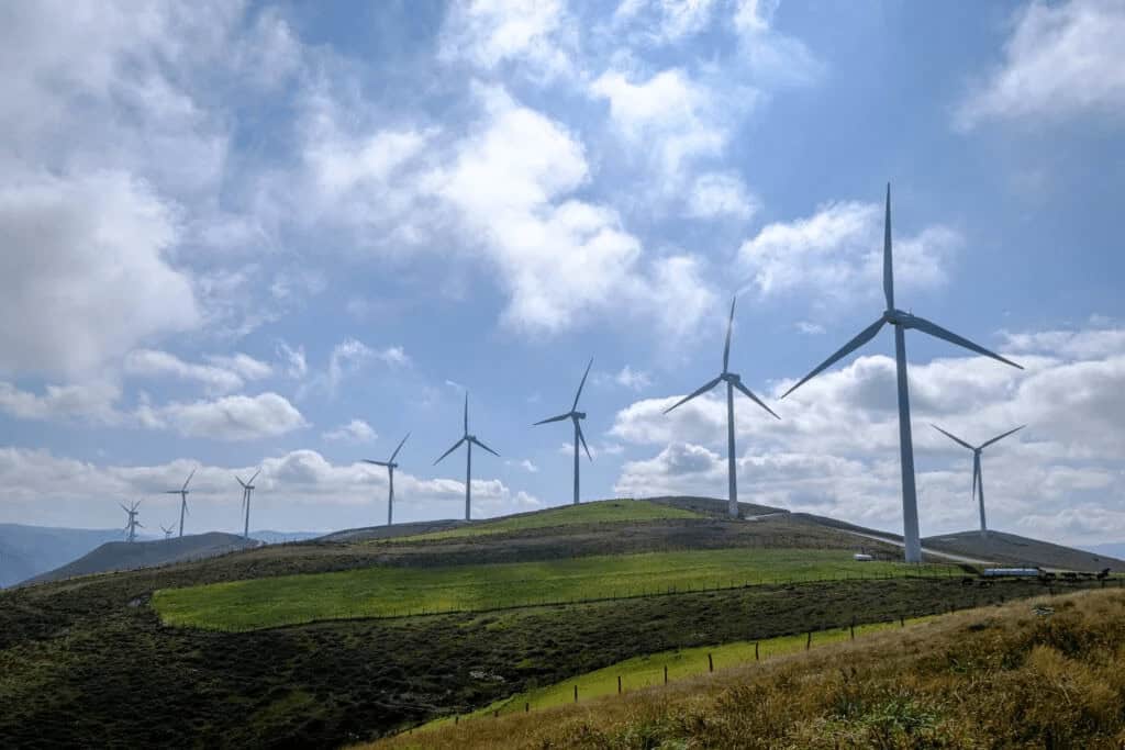 Climate Tech & Innovation Startups