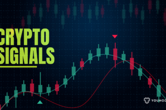 10 Top Crypto Signal Auto Traders For Binance & BitMEX