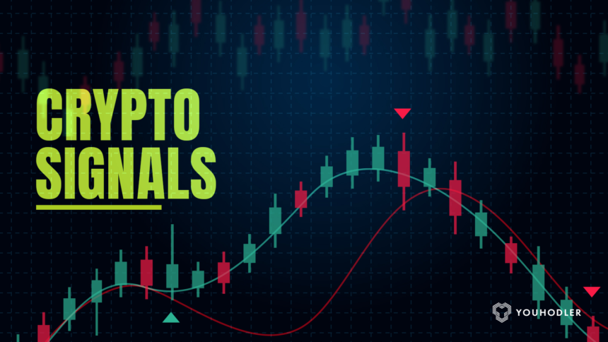 10 Top Crypto Signal Auto Traders For Binance & BitMEX