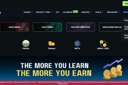 10 Best RugDoc Alternatives For Safe Crypto Investing