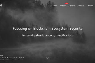 10 Best SlowMist Alternatives For Blockchain Security