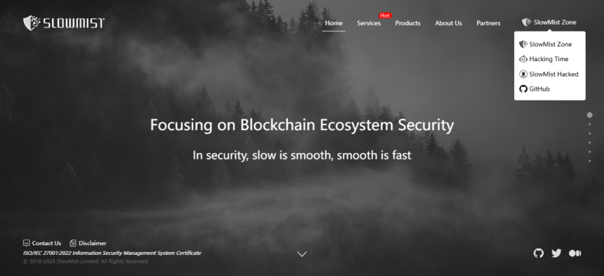 10 Best SlowMist Alternatives For Blockchain Security