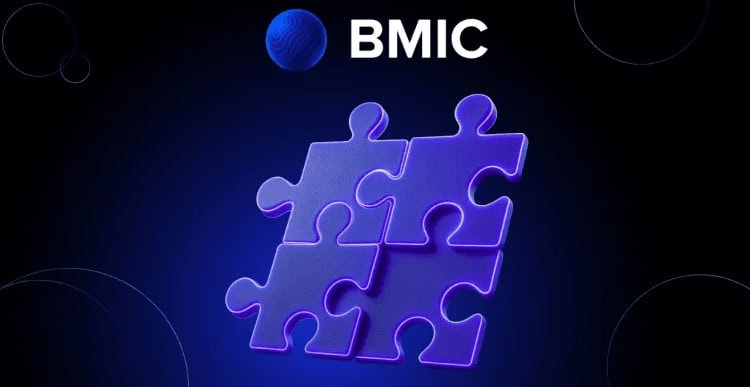 BMIC (BMIC)