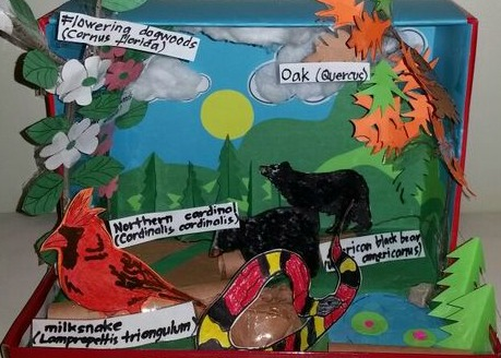 Ecosystem-Level Projects