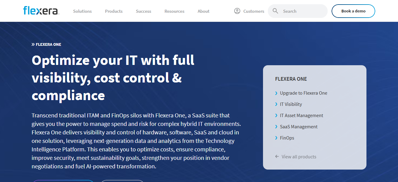 Flexera One
