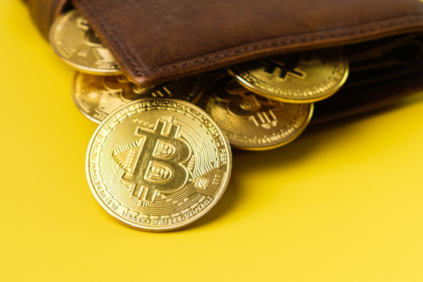 10 Best Wallets for Secure Key Management At Scale
