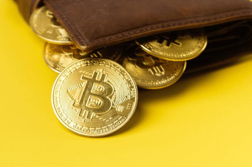 10 Best Wallets for Secure Key Management At Scale