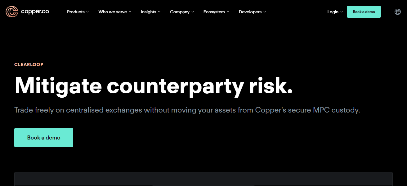 Copper Wallet (ClearLoop)
