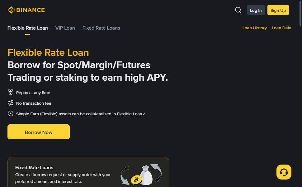 Binance Loans